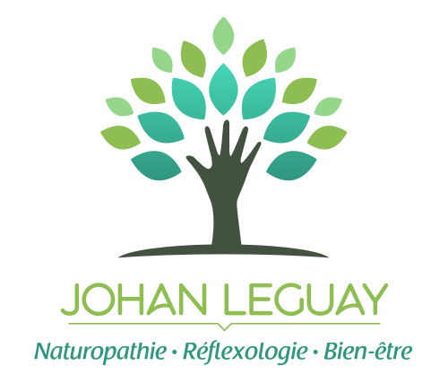 Johan Leguay